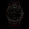 Luminous Quartz Watch Fashion