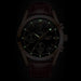 Luminous Quartz Watch Fashion
